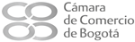 Base 2 - copia
